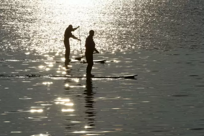 Stand Up Paddling / Herbststimmung am Bodensee