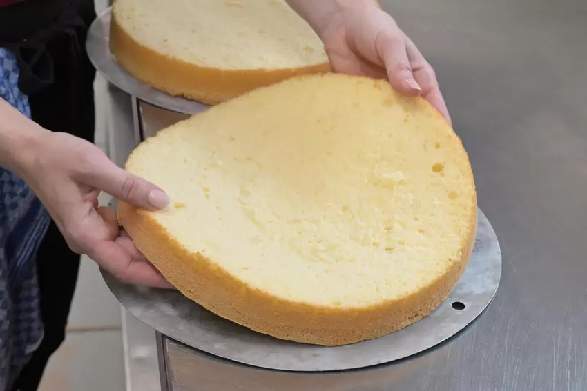 Schau an: Wiener Biskuit ist saftiger als der klassische Biskuit. Ist ja auch geschmolzene Butter drin.
