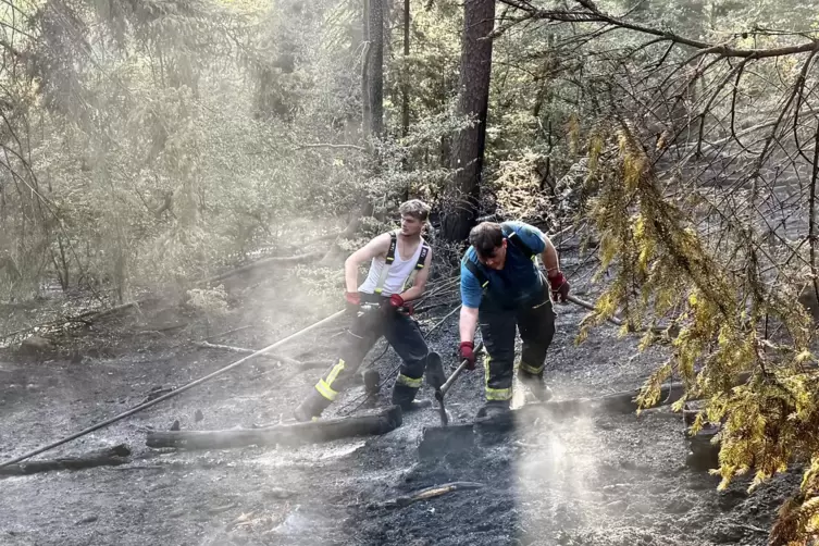 Mai 2026: Zwei Feuerwehrleute bek&auml;mpfen einen Waldbrand bei Carlsberg.
