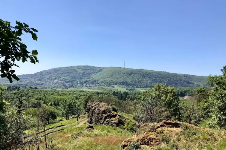 Am h&ouml;chsten ist die Waldbrandgefahr auf dem Donnersberg.