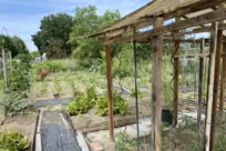 Seit 2009 schlagen Menschen unterschiedlicher Herkunft im Garten der Nationen Wurzeln.