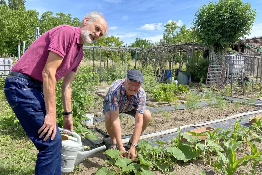 Helmut Hübner (links) und Christoph Weitz sind überzeugt davon, dass das gemeinsame Arbeiten im Garten Menschen miteinander verb