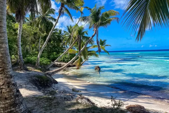 Palmen und Strand auf Soana