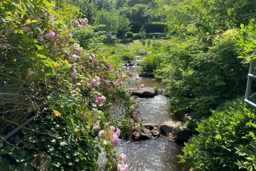 Im Pfauengarten: die Fischtreppe der Queich.