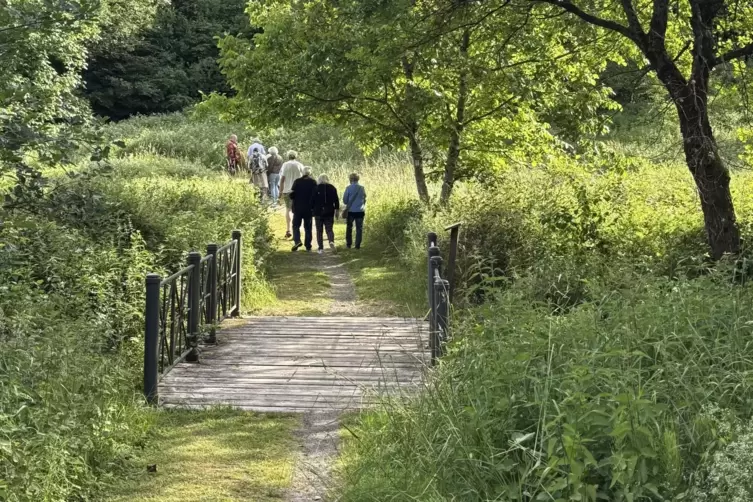 Auf dem Kottenweg geht es in Richtung der Gemarkung &bdquo;B&auml;renbusch&ldquo;. Der Flurname bezieht sich historisch auf das Waldgebiet und de