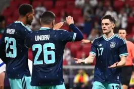 Tor für Deutschland: Fans hoffen auch bei der WM auf Siege wie im Testspiel gegen Finnland. 