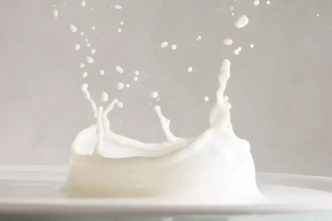 Milch spritzt in einem Glas