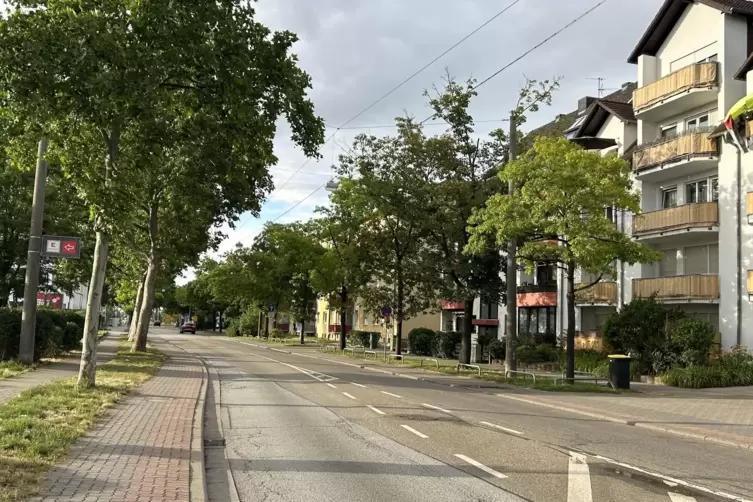 Laut Anwohnern wird hier besonders gerne gerast: die Wormser Stra&szlig;e auf H&ouml;he von Kaufland. 