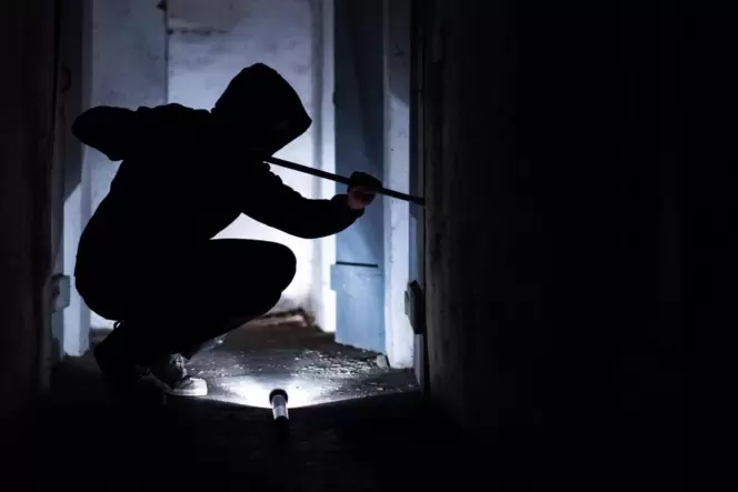 Die Zahl der Einbrüche ist im vergangenen Jahr im Bereich der PI Schifferstadt gestiegen. Die Polizei setzt auf Prävention.