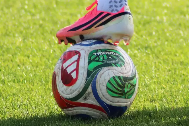 Zumindest einer aus Deutschland gehört schon mal mit Sicherheit zu den Gewinnern bei der gerade gestarteten Fußball-Weltmeisters