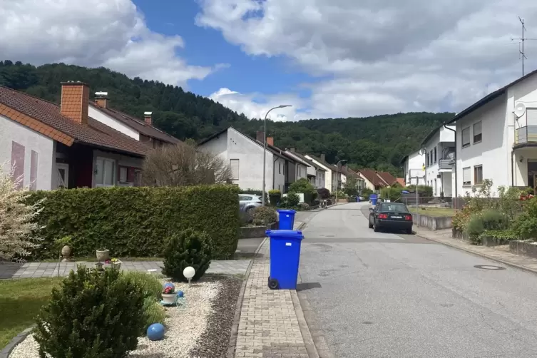 Am Donnerstag wird der Papierm&uuml;ll abgeholt, die Tonnen stehen am Stra&szlig;enrand in Steinalben. 