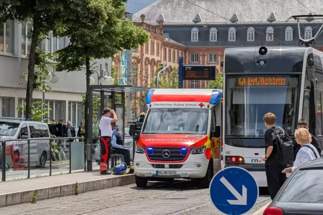 Der Unfall ereignete sich an einer Haltestelle in der Nähe des Mannheimer Schlosses.
