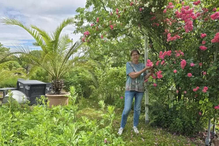 Rosen und Jasmin, Stauden, Palmen - Karin Lehn hat eine Vorliebe f&uuml;r mediterrane G&auml;rten. Aer ihr Garten in H&ouml;hfr&ouml;schen bietet vi