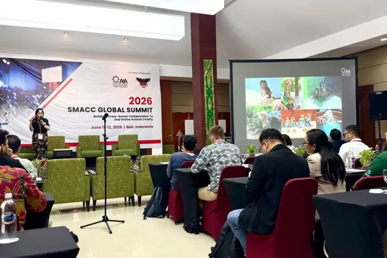 Fachkonferenz auf Bali zum Thema Tierleid in sozialen Medien