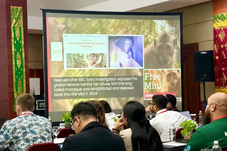 Fachkonferenz auf Bali zum Thema Tierleid in sozialen Medien