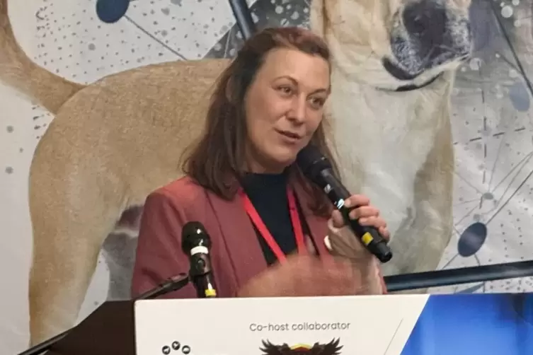 Fachkonferenz auf Bali zu Tierleid in sozialen Medien