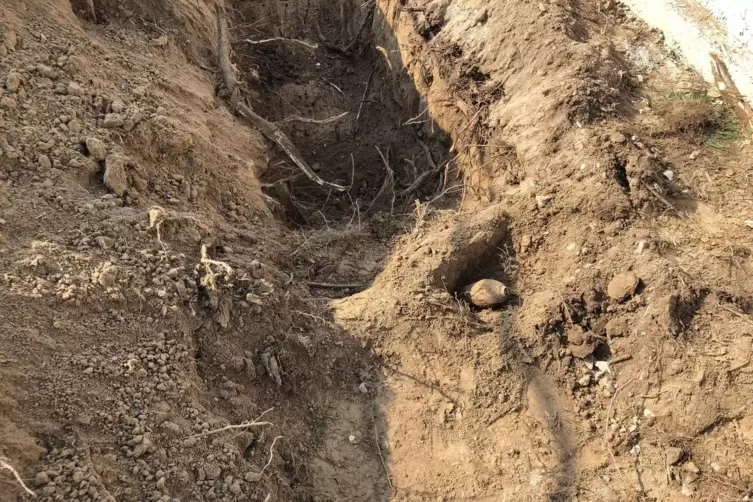 Gefunden: Eine Handgranate aus dem Zweiten Weltkrieg . 
