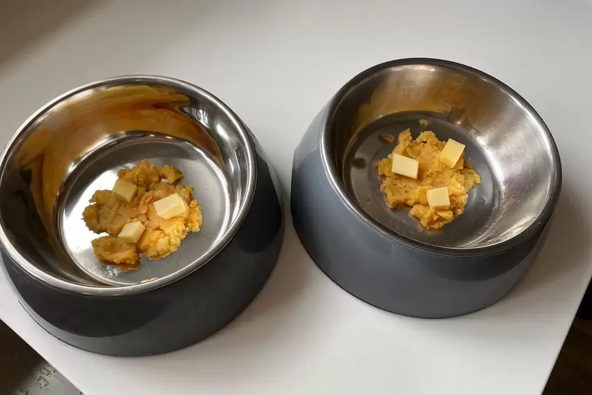 Die Versuchsanordnung: Gouda mit etwas Gemüsebrei.