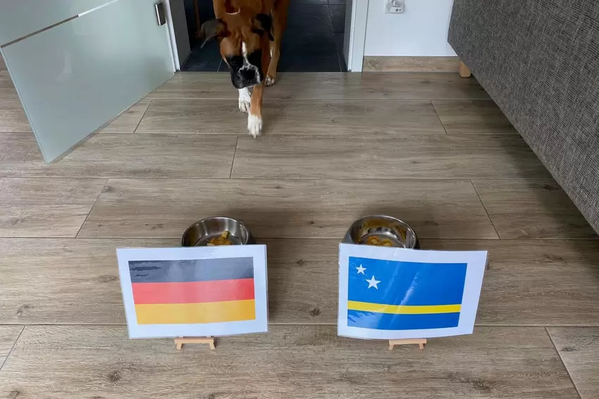 Tür auf, los geht’s. Langsam nähert sich Isi den Orakel-Näpfen.