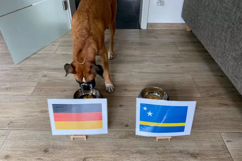 Erstmal bei Deutschland schnuppern.