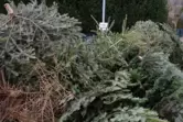 Bisher wurden Weihnachtsbäume an Sammelstellen deponiert und abgeholt. 