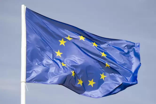 Die Mitglieder der Ludwigshafener Ortsgruppe der Europa-Union wollen Schüler für die Ideale der Europäischen Union begeistern.