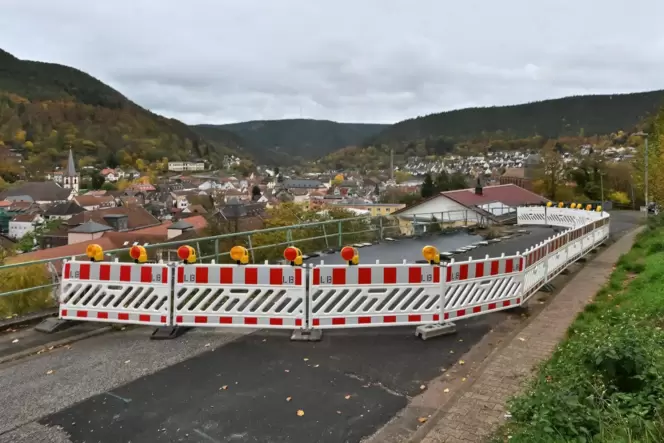 Die Straße ist seit etwa neun Monaten gesperrt.