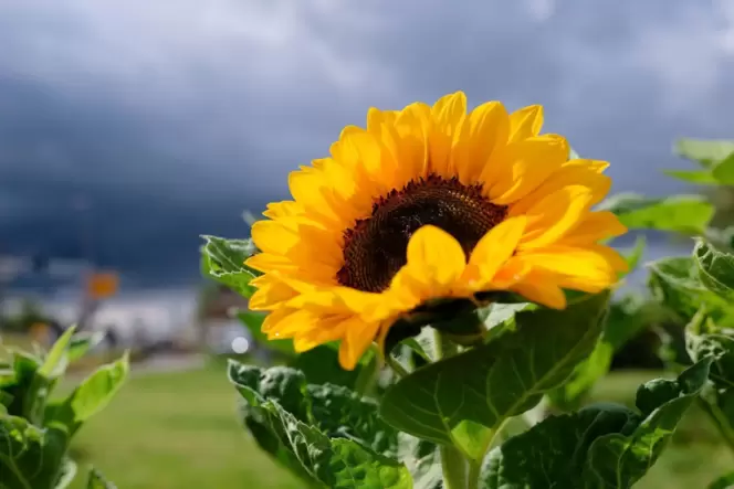 Wetter in Baden-Württemberg