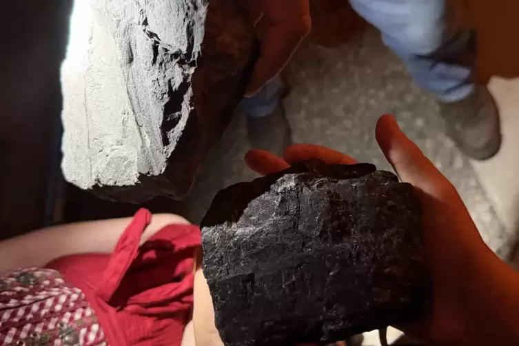 Sch&auml;tze aus der Unterwelt: Kohle (unten) und dar&uuml;ber ein sehr harter Stein mit Fossilien.
