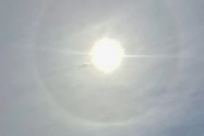Dieses Bild ist beim Weinpavillon in Nußdorf im Mai entstanden. "Das Phänomen Sonnenhalo ist selten und kommt vor, wenn sich Eis