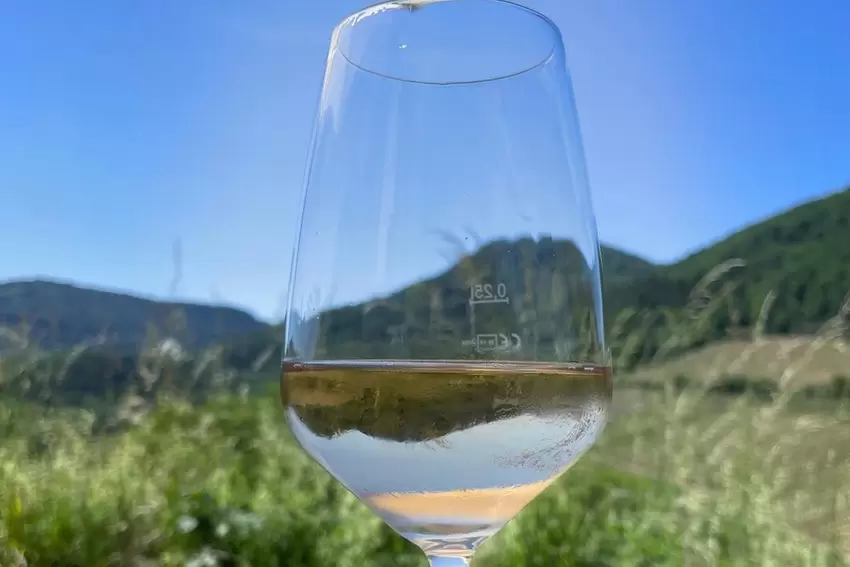 Auf dem Weinfrühling in Birkweiler an Pfingsten spiegelte sich der Hohenberg im Glas von Elke Bender.