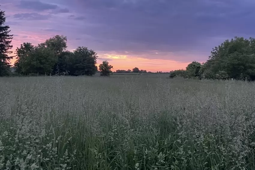 »Auch ein Regentag hat seine schöne Seiten«, meint Beate Brunner, die diese Aufnahme in Kapsweyer gemacht hat.