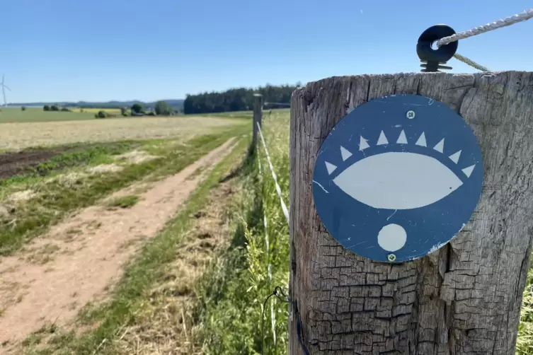 Hier geht&rsquo;s lang: Das augen&auml;hnliche Symbol weist den Weg. 