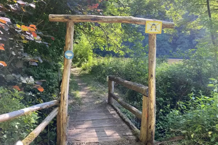 Landschaftlich sch&ouml;n und abwechslungsreich: Es geht durch Felder und Wiesen, aber auch durch Wald. 