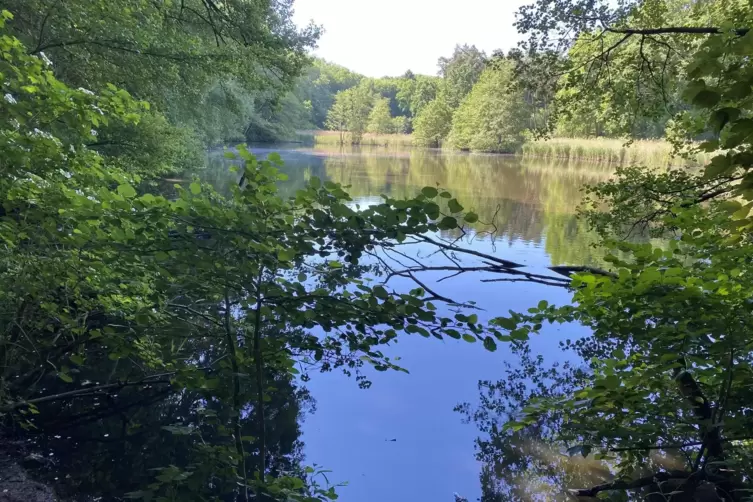 Industriedenkmal: Die Schwarzweiher bei der Eselsm&uuml;hle wurden von Freiherr von Gienanth angelegt, um immer genug Wasser f&uuml;r sein