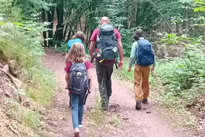 Die Jugendlichen wandern 100 Kilometer durch den Pfälzerwald.