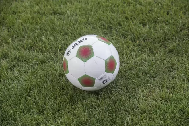view_fb_fc_erlenbach020821mgo01
