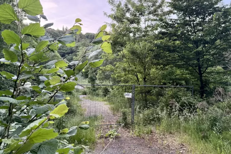 Der Forst hofft, dass die Br&uuml;cke bei Neuleiningen-Tal dank Sonderverm&ouml;gen nach elfj&auml;hriger Sperrung endlich erneuert wird.