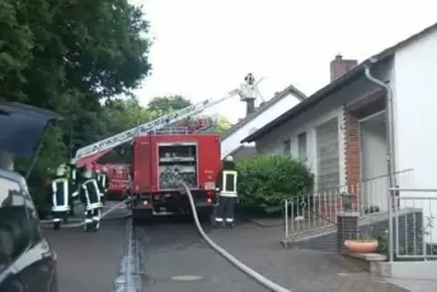 lauter.jpg