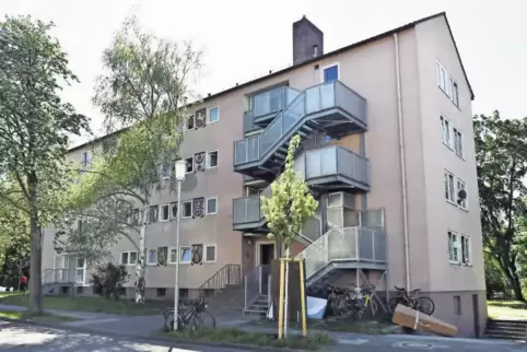 91-66718778.jpg
