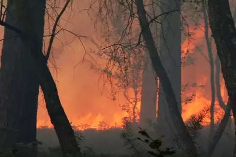 s-waldbrand2.jpg