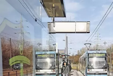 91-70573486.jpg