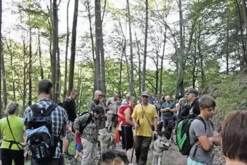 91-70800377.jpg