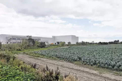 91-71487206.jpg