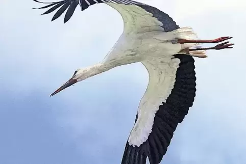 91-71800942_01.jpg