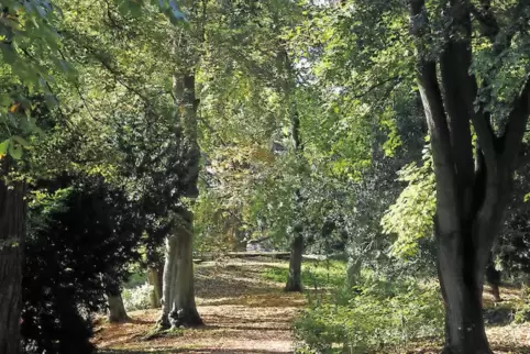 91-72340385.jpg