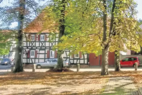 91-72342853.jpg