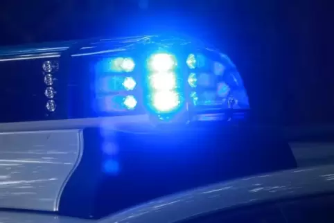 polizei1_bild_-_linzmeier-mehn_48.jpg