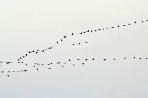 91-73016699.jpg