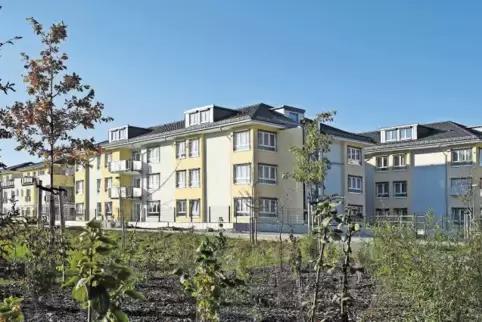 91-75125029.jpg